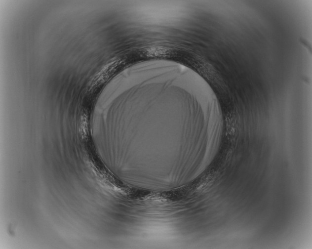 X0000100760648200807101729