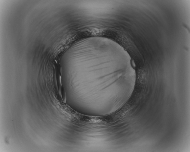 X0000100760650200807101729