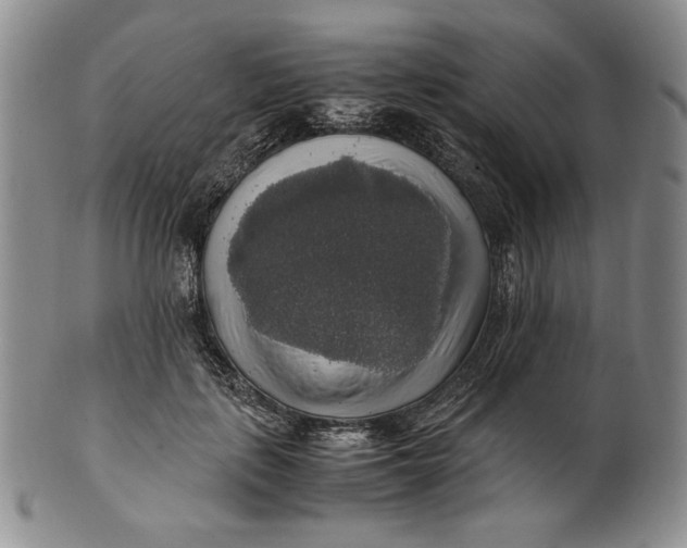 X0000100760651200807101729