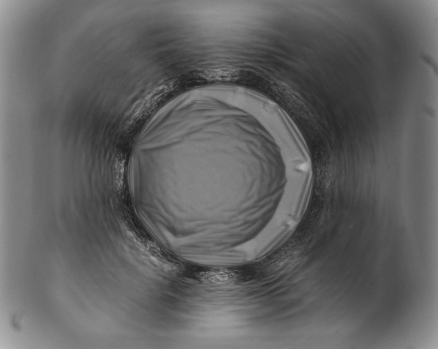 X0000100760652200807101729