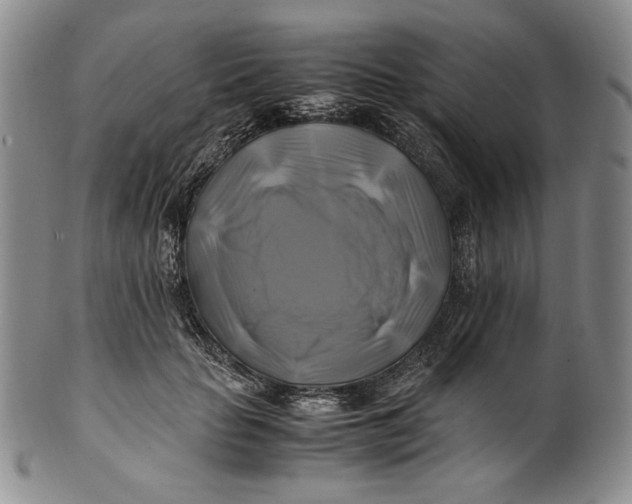 X0000100760653200807101729