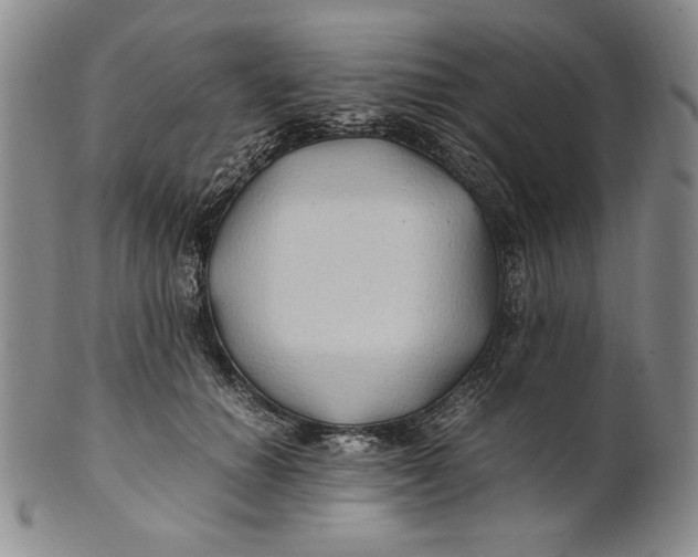 X0000100760654200807101729