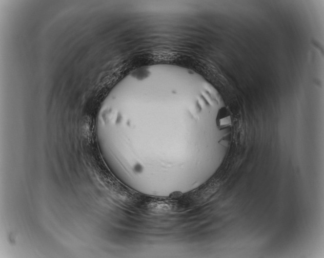 X0000100760655200807101729