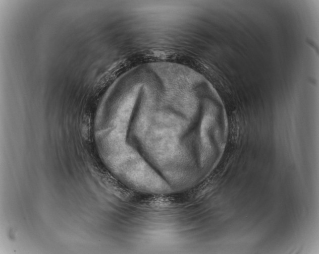 X0000100760656200807101729