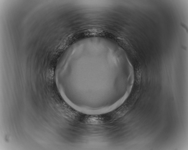 X0000100760657200807101729