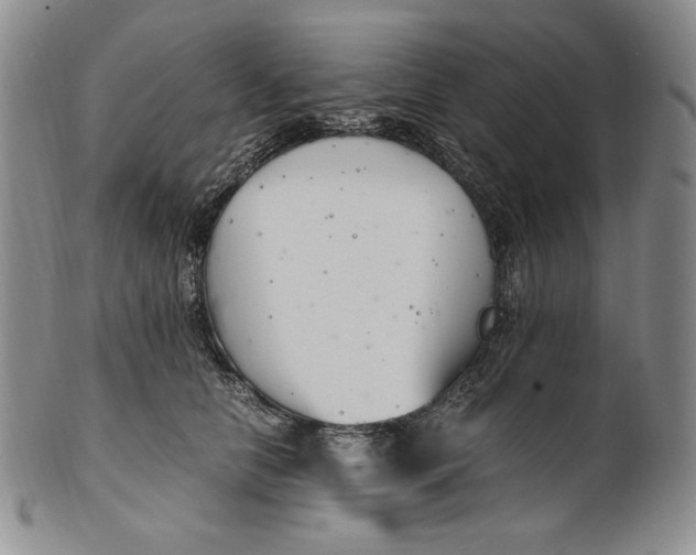 X0000100760658200807101729