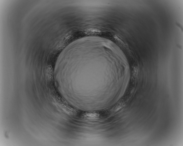 X0000100760659200807101729