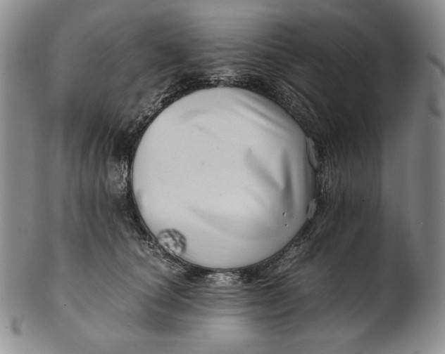 X0000100760660200807101729