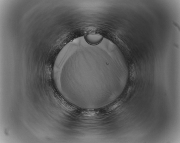 X0000100760661200807101729