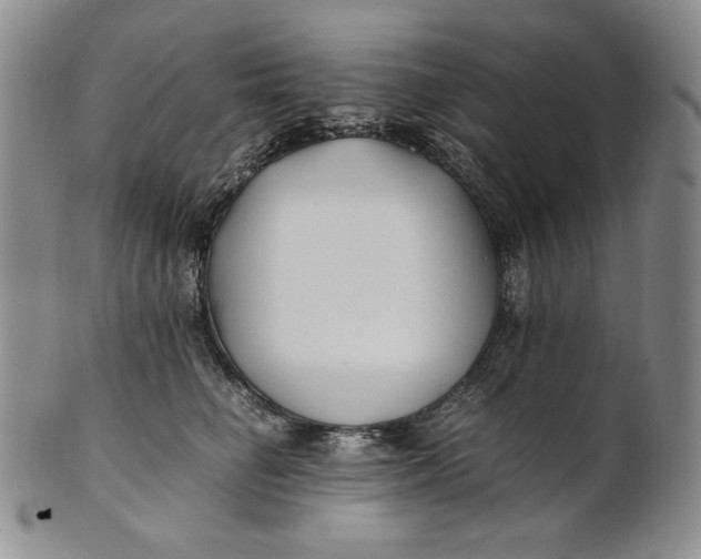 X0000100760662200807101729