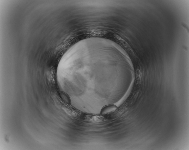 X0000100760663200807101729