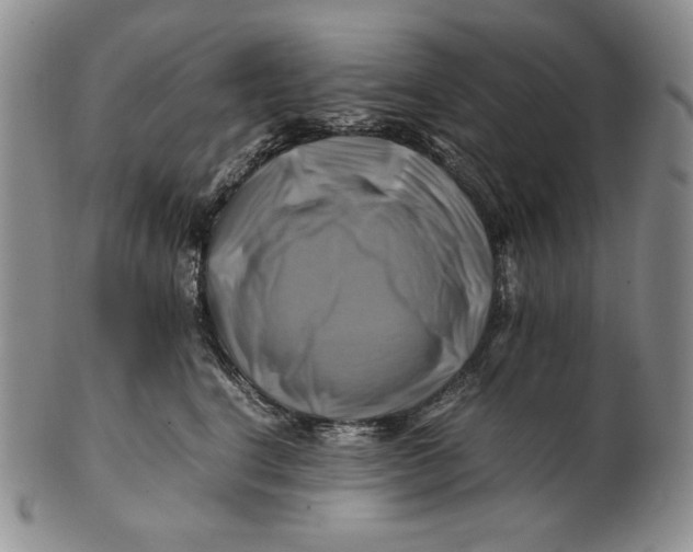 X0000100760664200807101729