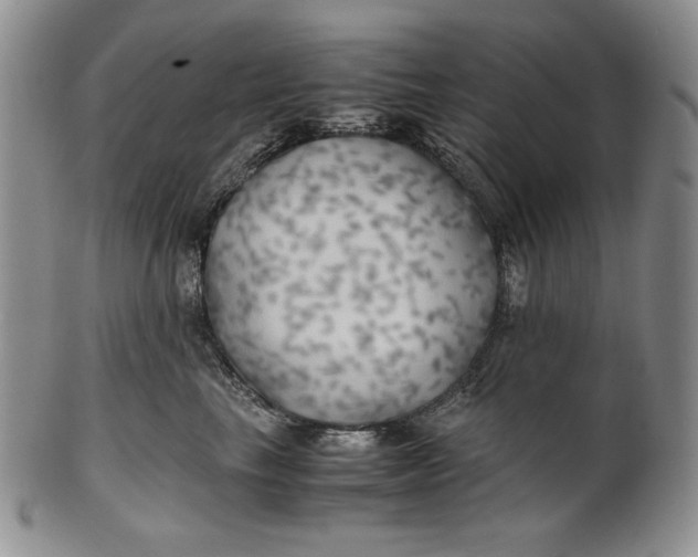 X0000100760665200807101729