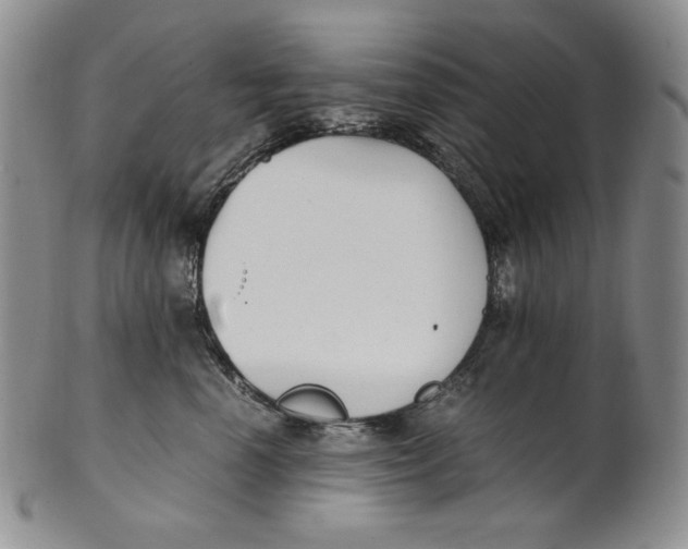 X0000100760666200807101729