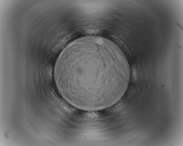 X0000100760668200807101729