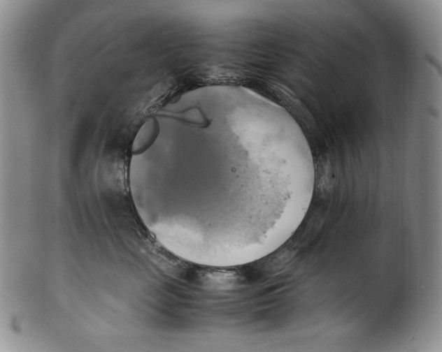 X0000100760669200807101729
