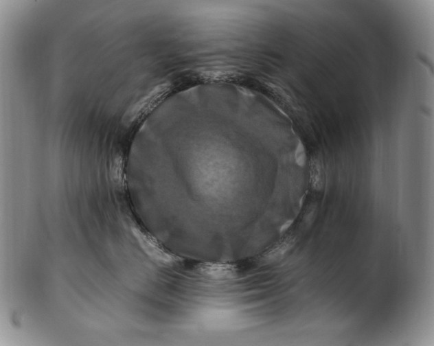 X0000100760670200807101729