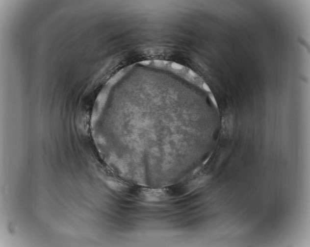 X0000100760671200807101729