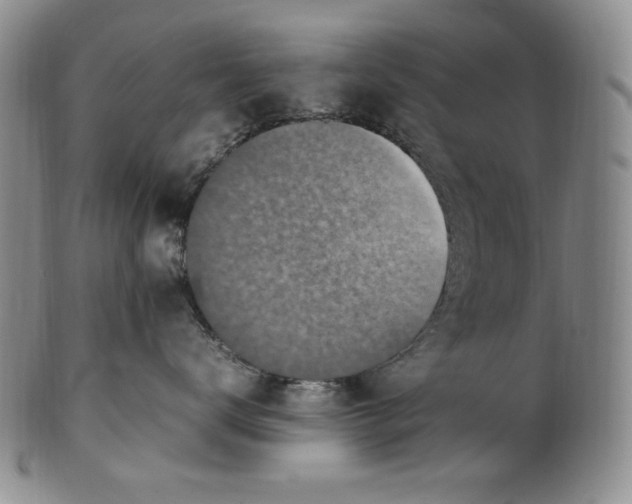 X0000100760672200807101729
