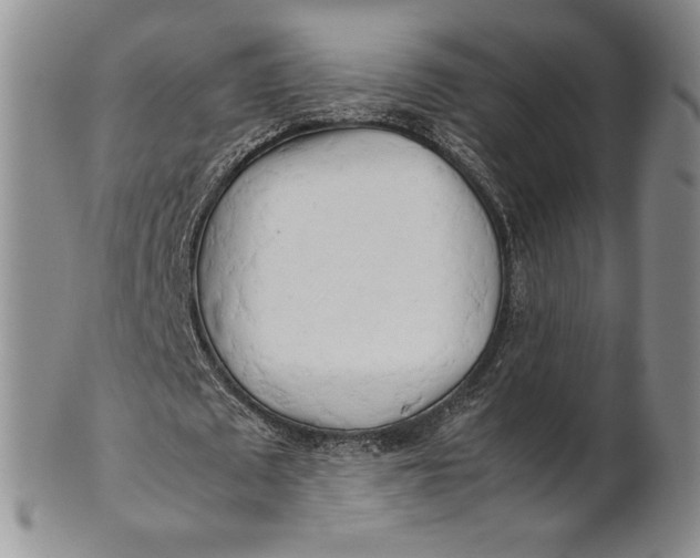 X0000100760673200807101728