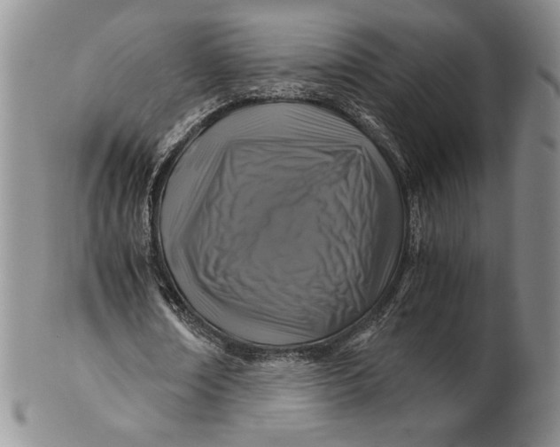 X0000100760674200807101728