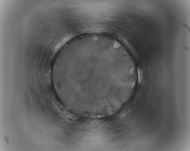X0000100760675200807101728