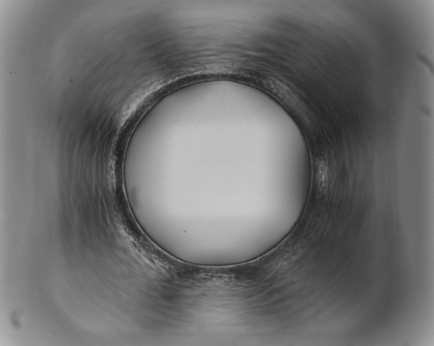 X0000100760676200807101728