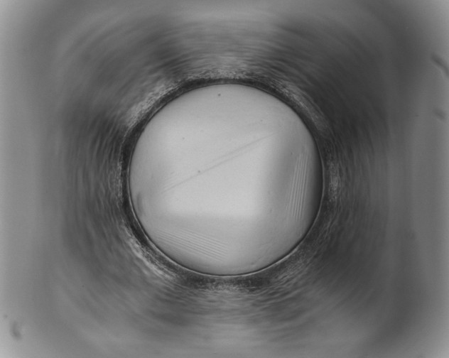 X0000100760677200807101728