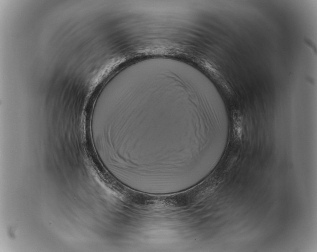 X0000100760678200807101728