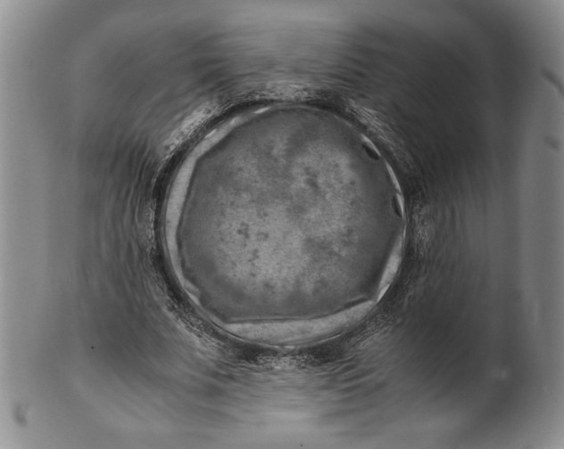 X0000100760679200807101728