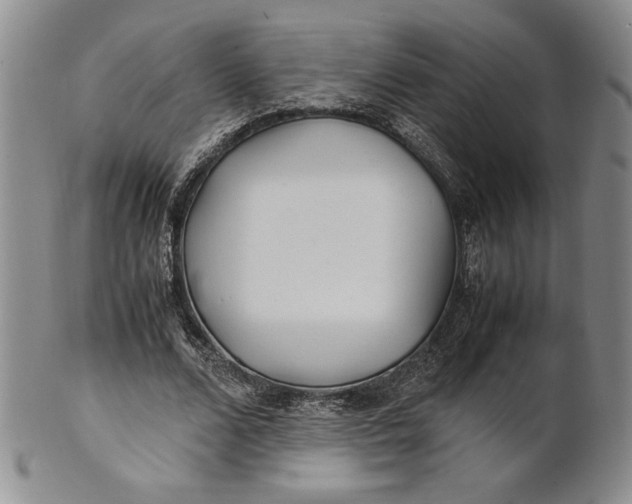 X0000100760680200807101728