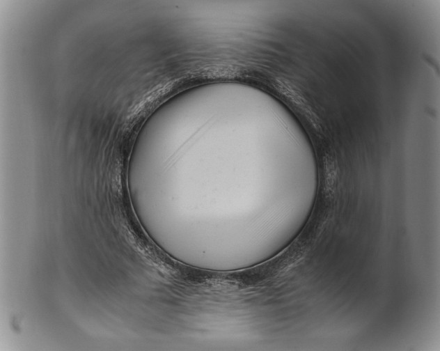 X0000100760681200807101728