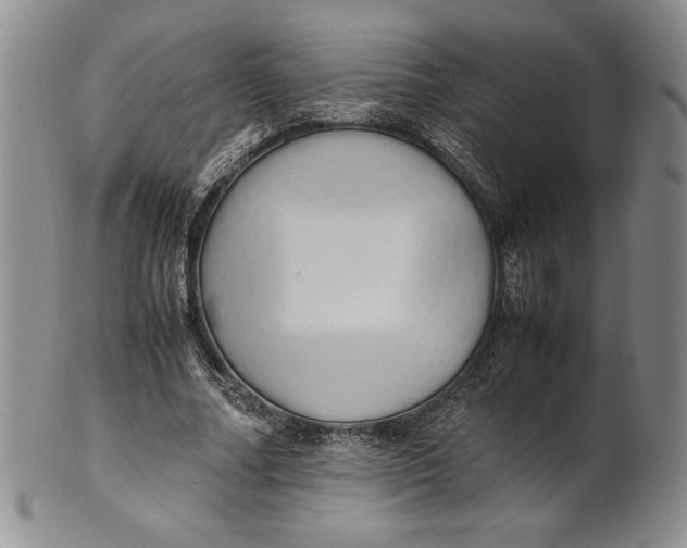 X0000100760682200807101728