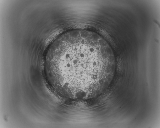 X0000100760683200807101728