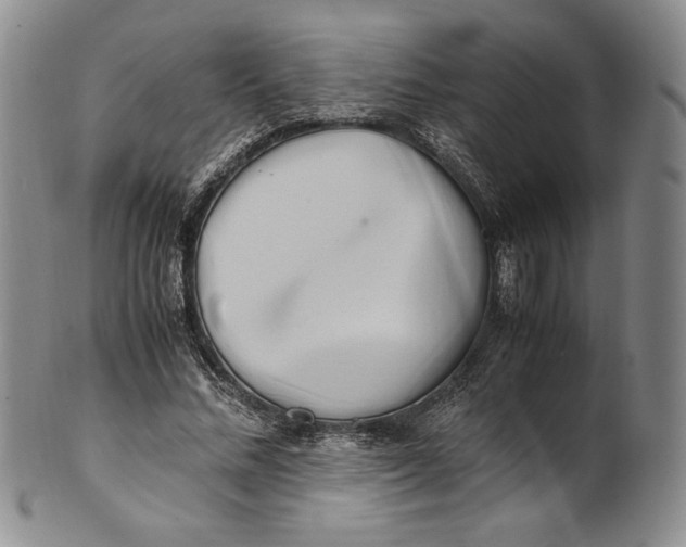 X0000100760684200807101728