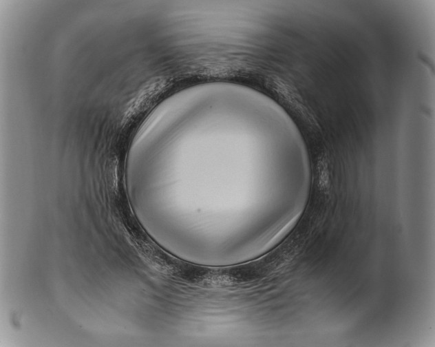 X0000100760685200807101728