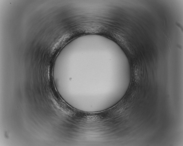 X0000100760686200807101728