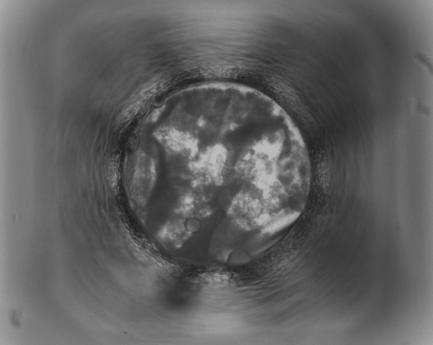 X0000100760687200807101728