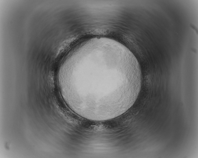 X0000100760688200807101728