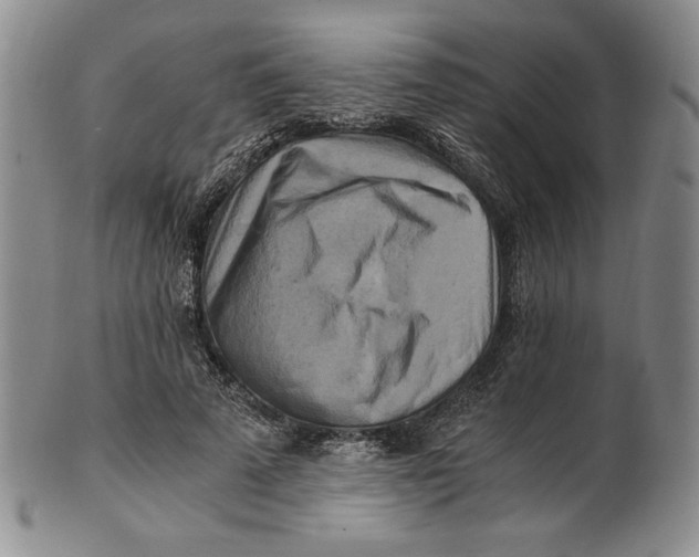 X0000100760689200807101728