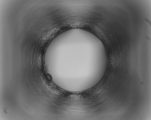 X0000100760690200807101728