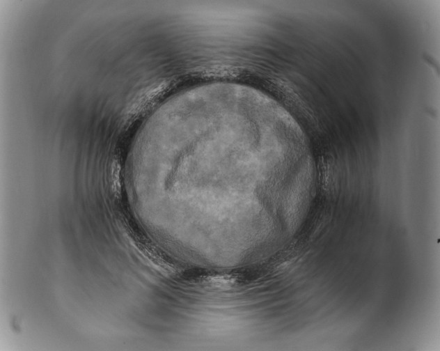 X0000100760692200807101728