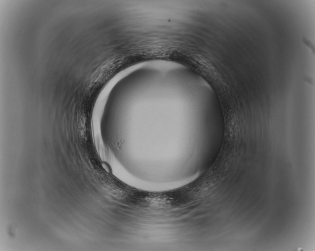X0000100760693200807101728