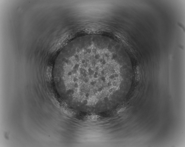 X0000100760695200807101728