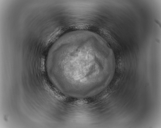 X0000100760696200807101728