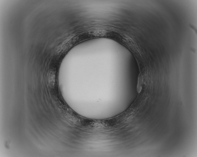X0000100760697200807101728