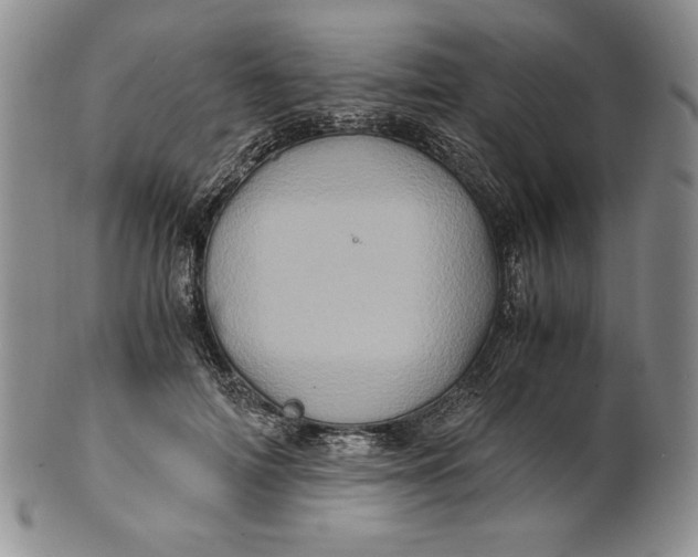 X0000100760698200807101728
