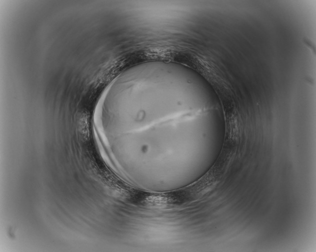 X0000100760699200807101728