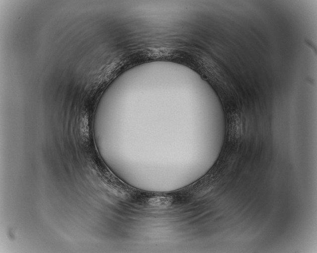 X0000100760700200807101728