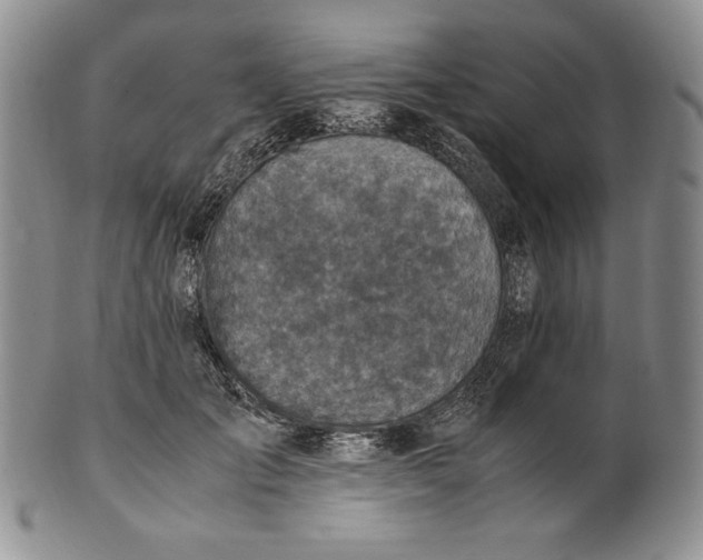 X0000100760701200807101728
